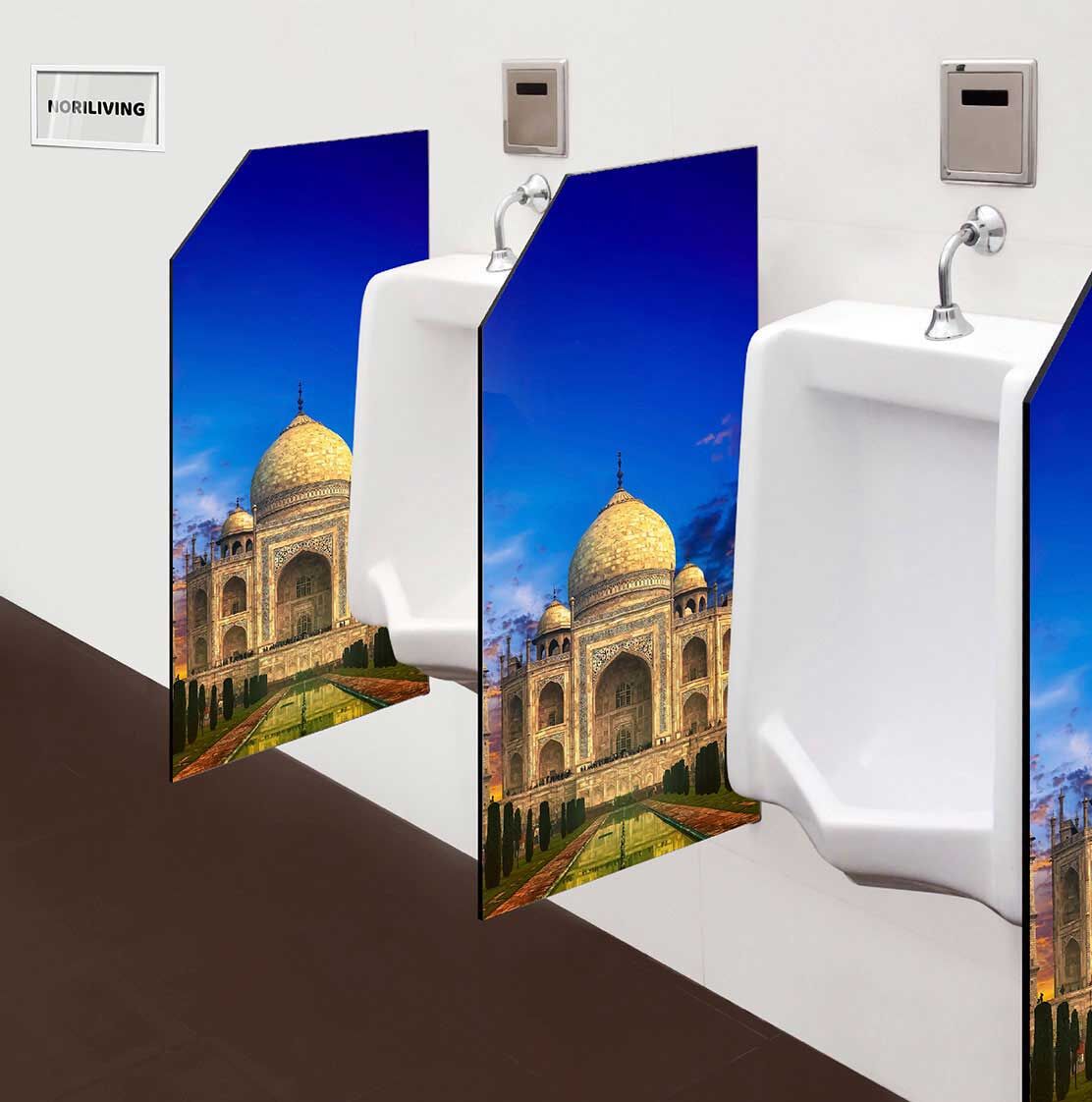 in der Toilette eingebaute Schamwand mit Motiv Taj Mahal in Indien 239