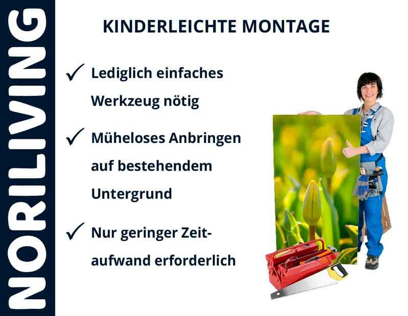 Person hält ein Bild mit grünen Pflanzen, daneben Werkzeugtasche und Text: 'Kinderleichte Montage', 'Lediglich einfaches Werkzeug nötig', 'Müheloses Anbringen auf bestehendem Untergrund', 'Nur geringer Zeitaufwand erforderlich'. Logos NORILIVING und weite