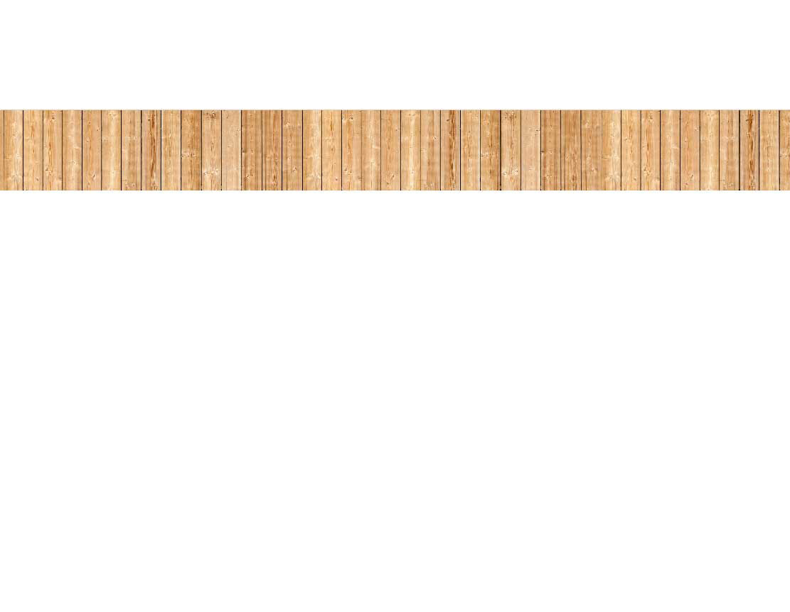 Bild von vertikal angeordneten Holzzaunplanken aus hellem Holz