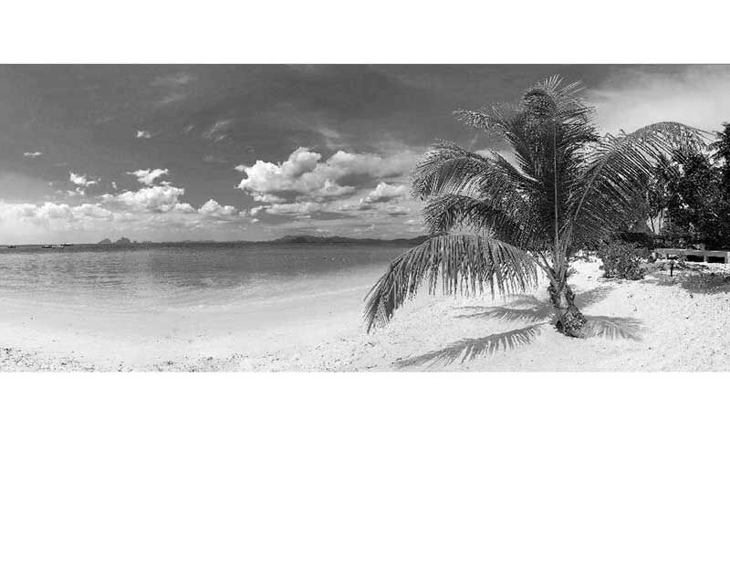 Schwarz-weiß Fotografie von einem ruhigen Strand mit einer Palme und Blick auf das Meer unter einem wolkigen Himmel