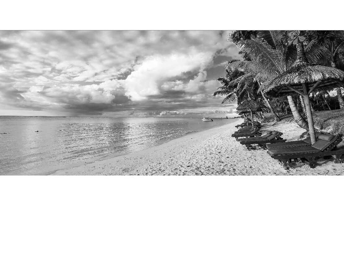 Ansicht des Badrückwand-Motivs Palmen am schönen Strand Mauritius 186 schwarz-weiß