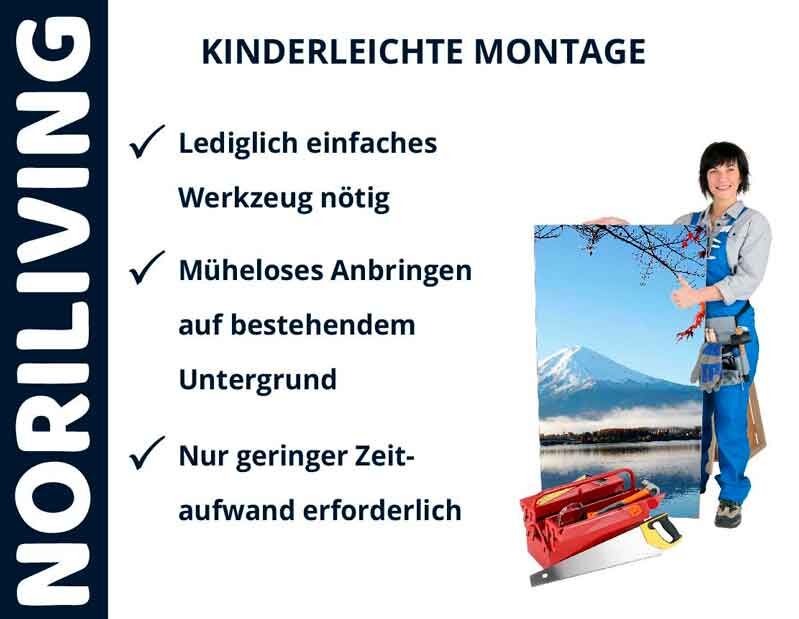 Werbung für Noriliving mit einfacher Montageanleitung. Werkzeugkasten und Poster mit Landschaft, präsentiert von einem Arbeiter.