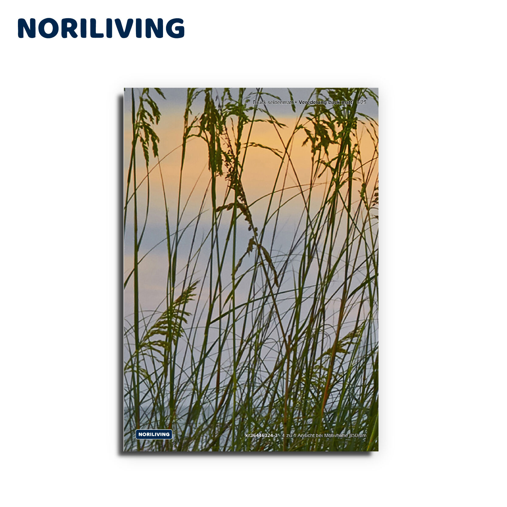 Poster mit filigranen Gräsern und warmem Sonnenuntergangshimmel, ideal für Wohnzimmerdekoration