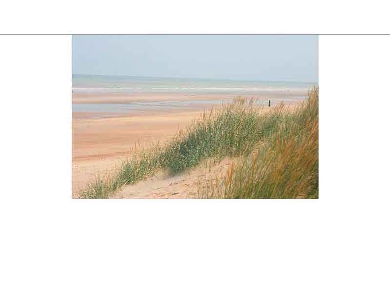 Blick auf eine Dünenlandschaft mit Strand und Meer im Hintergrund