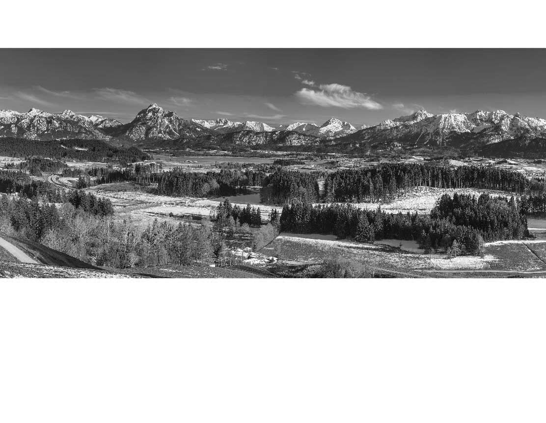 Ansicht des Duschrückwand-Motivs Alpenpanorama Allgäu Forggensee 124 schwarz-weiß