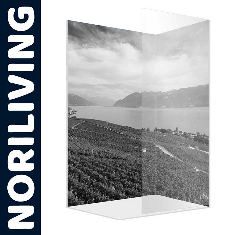 Duschwand aus Glas mit einem schwarz-weißen Landschaftspanorama von Noriliving