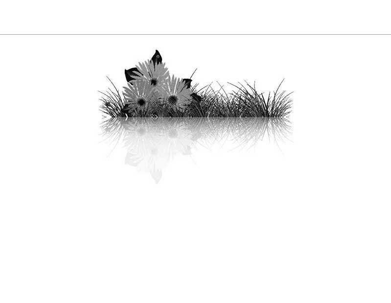 Eine schattierte, schwarz-weiße Illustration von Blumen und Gräsern mit Spiegelbild im Vordergrund.