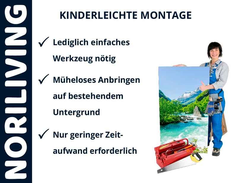 Noriliving-Werbung zeigt einfache Montage eines Bildes mit minimalem Werkzeug und Zeitaufwand