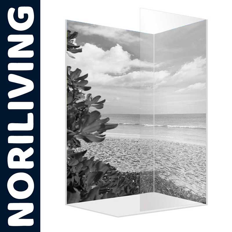 Transparente Duschwand von Noriliving mit Schwarz-Weiß-Strandmotiv und Pflanzen im Vordergrund