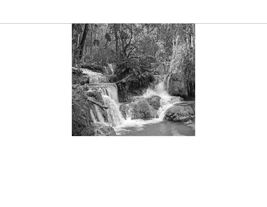 Ein natürlicher Wasserfall fließt über Felsen in einem Wald, Schwarz-Weiß-Ansicht