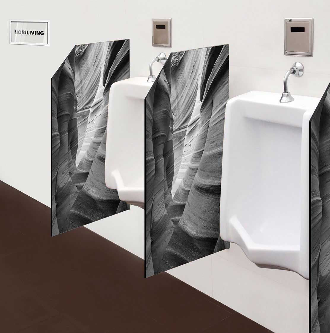in der Toilette eingebaute Schamwand mit Motiv Sandsteinformationen in den Wüsten von Utah 783 schwarz-weiß