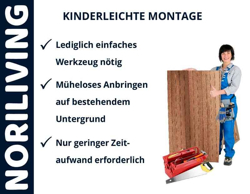 Werbung für Noriliving mit einer Frau, die einfache Montageanleitungen und Werkzeuge für den Heimgebrauch präsentiert