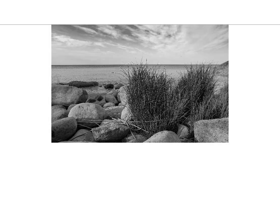 Ansicht des Badrückwand-Motivs Steine ​​und Gras des Ladoga-Sees an der Küste 505 schwarz-weiß