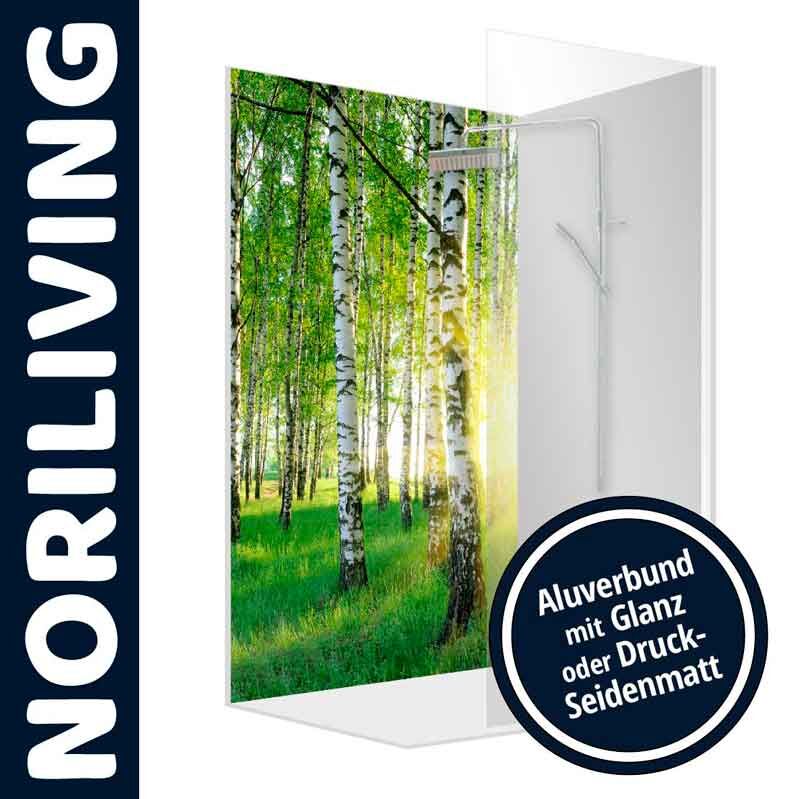 Duschrückwand mit Birkenwald-Motiv, erhältlich in Alubund mit Glanz oder Druck-Seidenmatt
