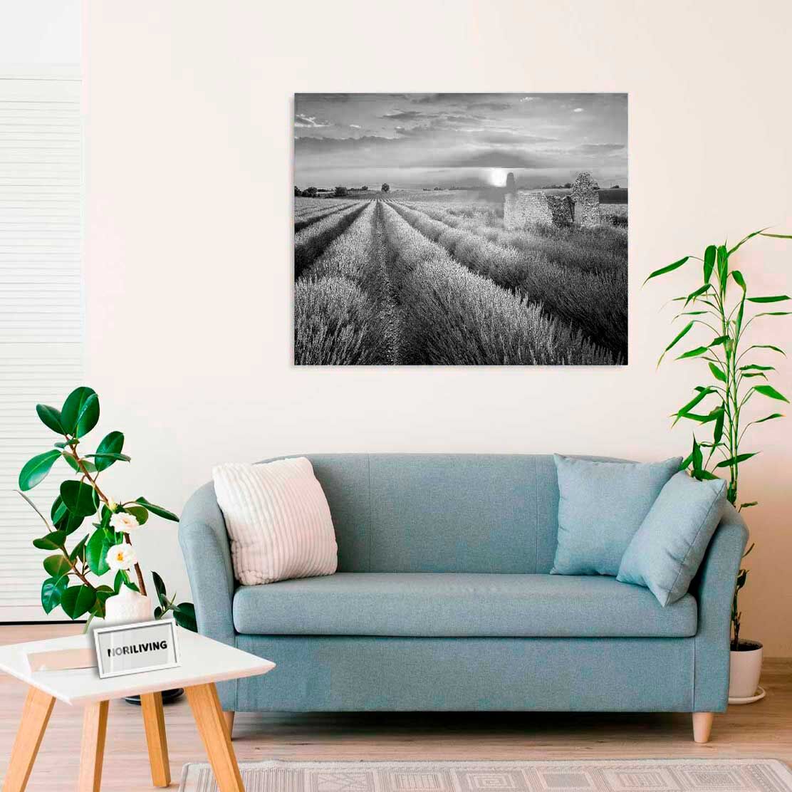 Wandbild über dem Sofa mit Motiv Lavendel im Sonnenschein 535 schwarz-weiß