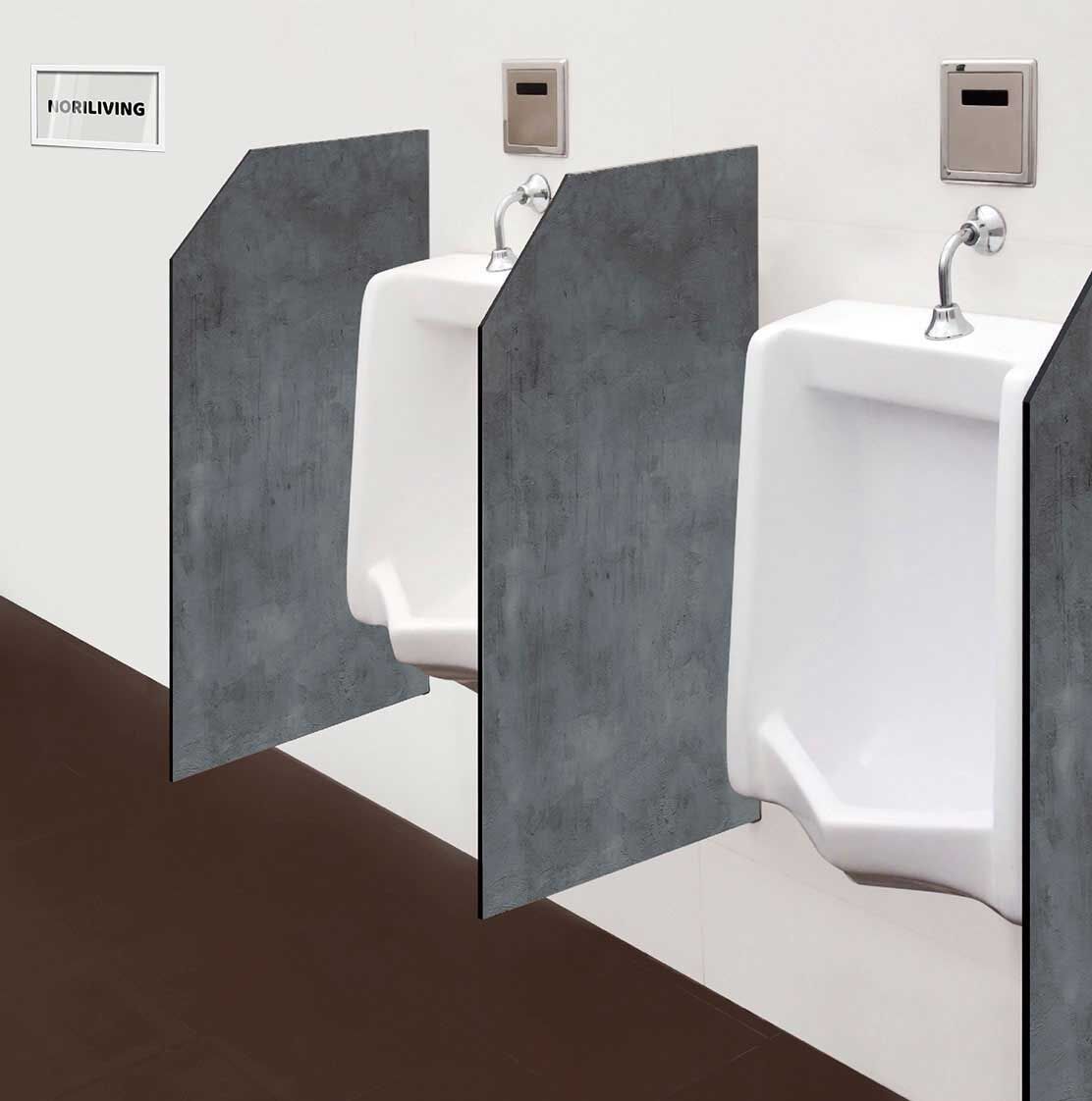 in der Toilette eingebaute Schamwand mit Motiv Beton Grau Rohputz 263