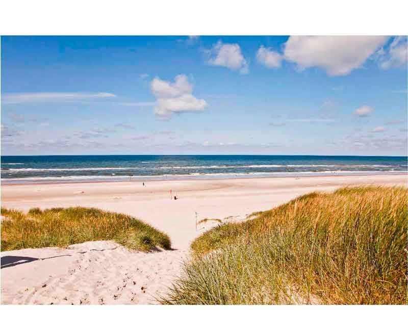 Blick über Dünen auf einen weiten Sandstrand und das blaue Meer mit leicht bewölktem Himmel