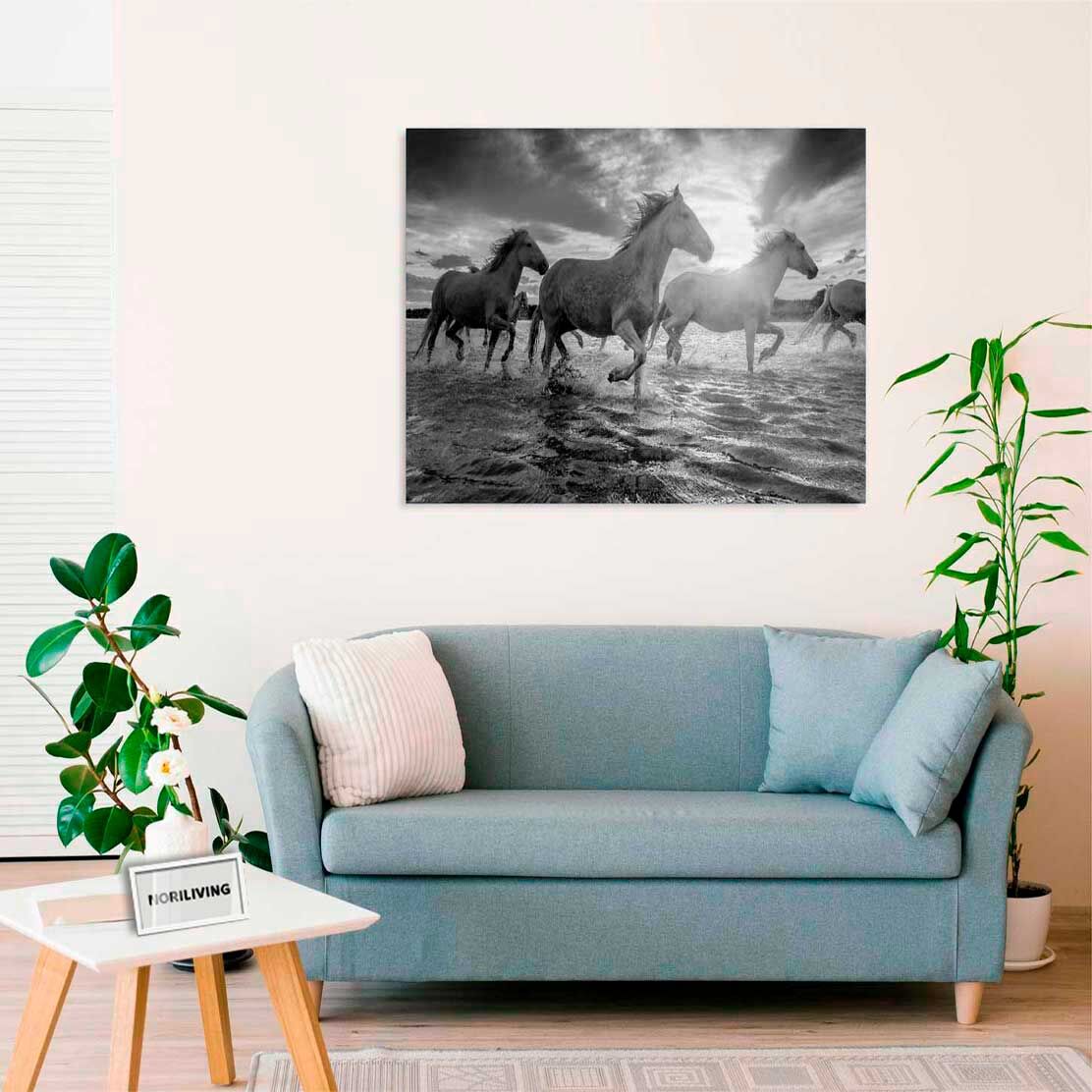 Wandbild über dem Sofa mit Motiv Weiße Pferde in der Camargue 477 schwarz-weiß