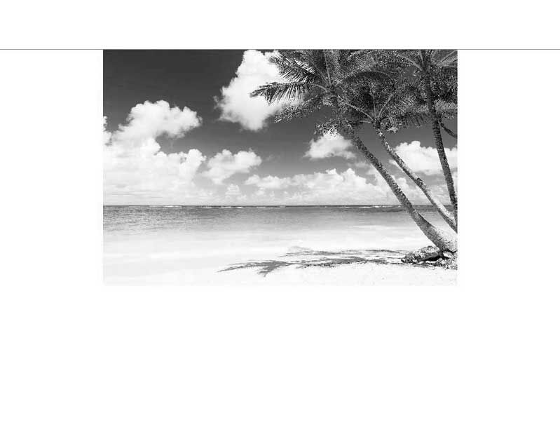 Schwarz-Weiß-Bild zeigt einen ruhigen Strand mit Palmen und Wolken am Himmel.