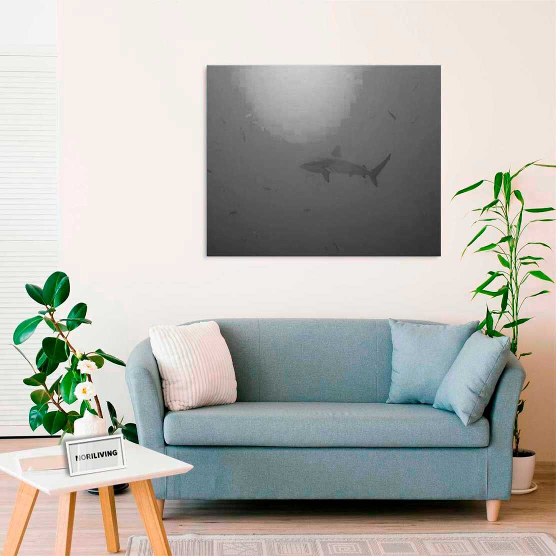 Wandbild über dem Sofa mit Motiv Totenhai unter Wasser 311 schwarz-weiß