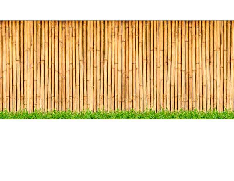 Dichter Bambuszaun mit saftigem grünem Gras am unteren Rand