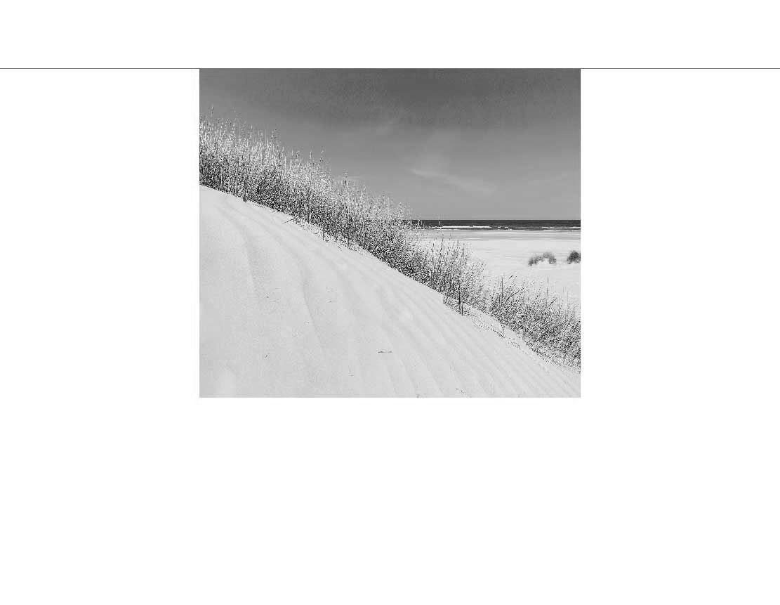 Ansicht des Duschrückwand-Motivs Strand Düne mit Gras und Meer 640 schwarz-weiß