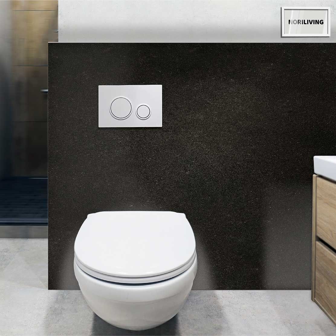im WC eingebaute Toilettenrückwand mit Motiv Schwarzer Stein 354