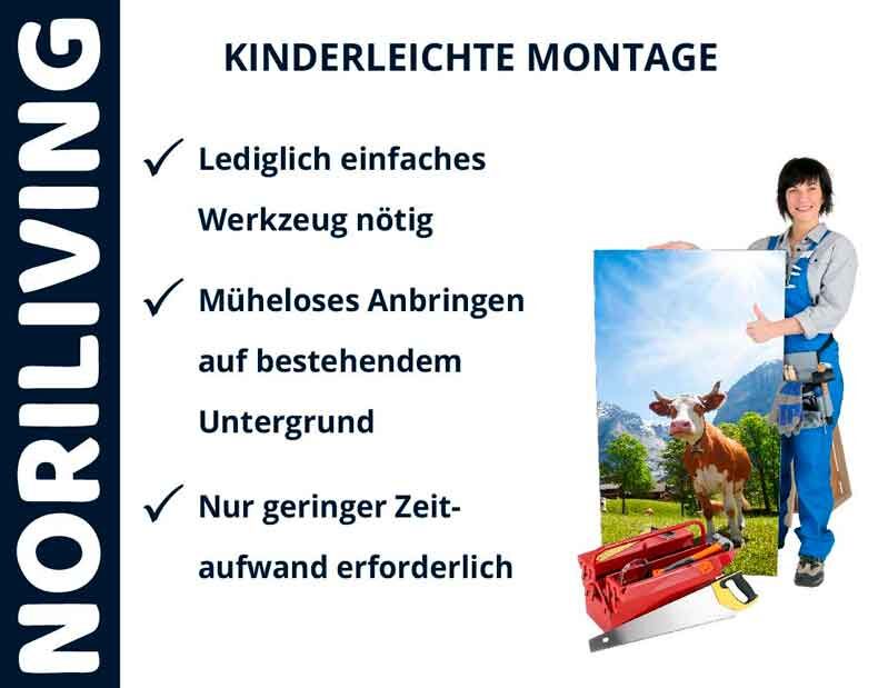 Person präsentiert NORILIVING Montagekonzept mit Werkzeug und Bild einer Kuh auf Wiese vor Bergkulisse