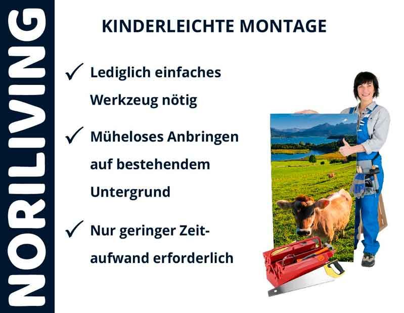 Noriliving Montage-Kit, das einfache Installation mit minimalem Werkzeugaufwand verspricht. Frau hält Bild mit alpinem Landschaftsmotiv.