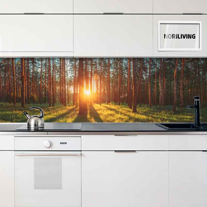 in der Küche eingebaute Küchenrückwand mit Motiv Sonnenschein im sonnigen Sommer Nadelwald 395