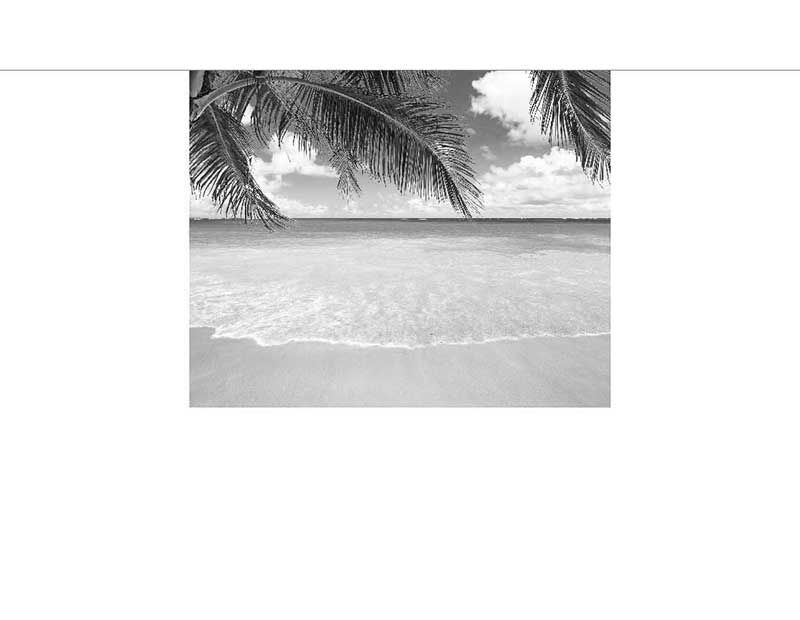 Schwarz-Weiß-Foto eines Strandes mit Palmen im Vordergrund und ruhigem Meer im Hintergrund
