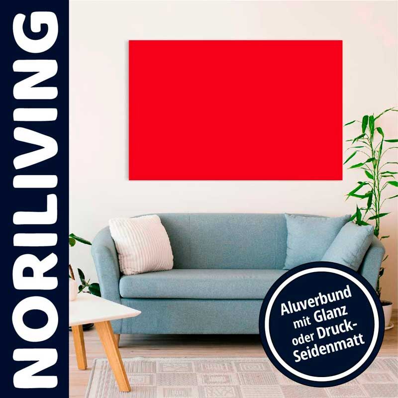 Wohnzimmer mit blauem Sofa, roten Alubild und Pflanzen