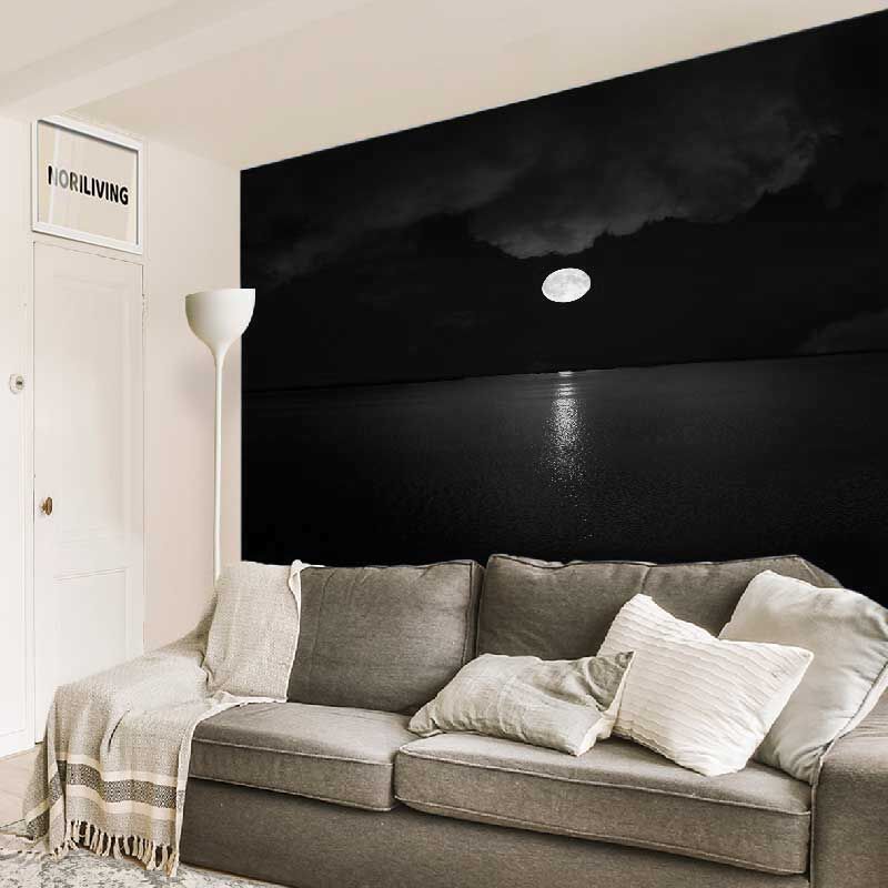 im Wohnzimmer eingebaute Wohnzimmerrückwand mit Motiv Vollmond in Wolken über dem Wasser 755 schwarz-weiß