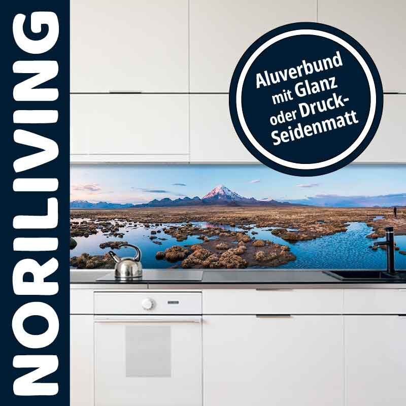 Moderne Küche mit einer dekorativen Küchenrückwand mit Landschaftspanorama und Aluverbund-Oberfläche von Noriliving
