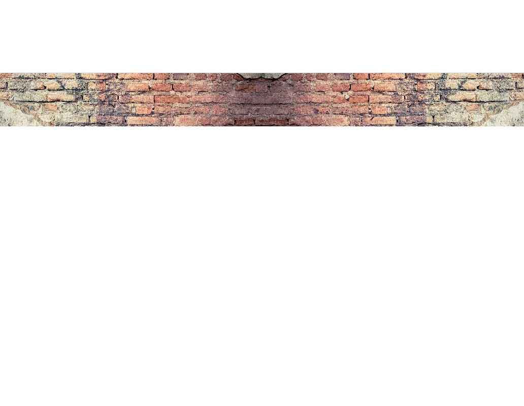 Eine verwitterte Backsteinmauer mit sichtbaren Ziegelsteinen und Mörtelspuren