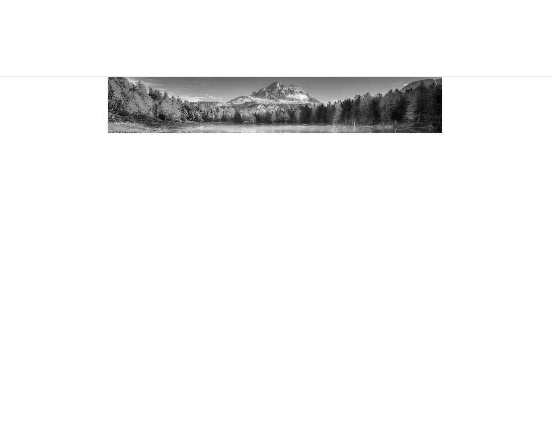 Schwarz-Weiß-Fotografie eines verschneiten Berges hinter einem Wald am Seeufer