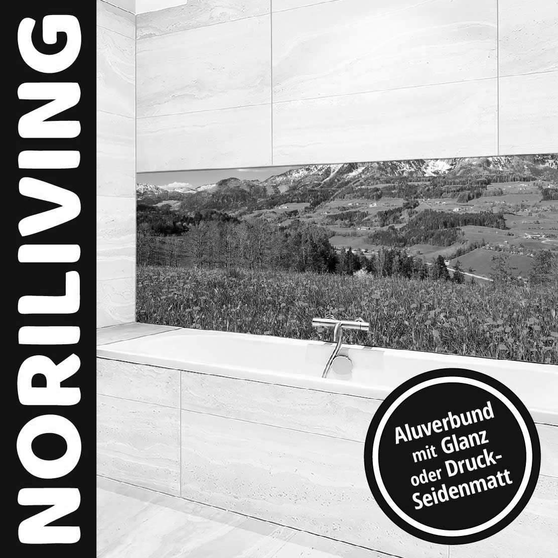 Ansicht des Badrückwand-Motivs Alpenlandschaft im Frühling 453 schwarz-weiß Unterkante