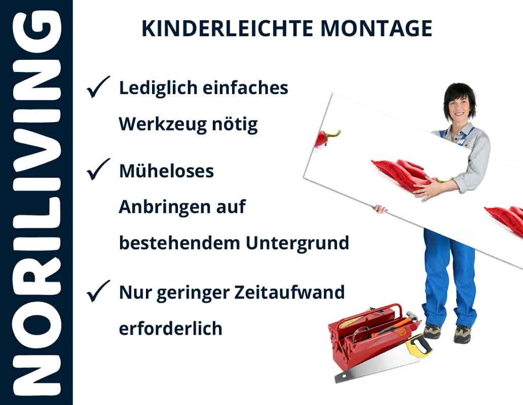 Person hält Brett mit roten Paprikaschoten, daneben Werkzeuge, Text mit Montagehinweisen: einfaches Werkzeug nötig, mühelos auf bestehendem Untergrund, geringer Zeitaufwand.
