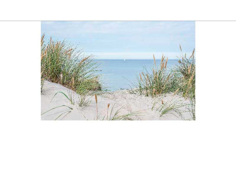 Blick über Dünen mit Gras auf das Meer und den Horizont im Hintergrund