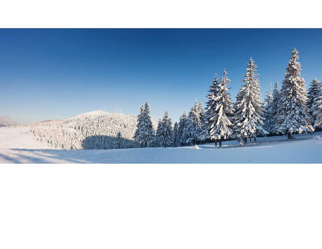 Ansicht des Badrückwand-Motivs Wald im Winter 543