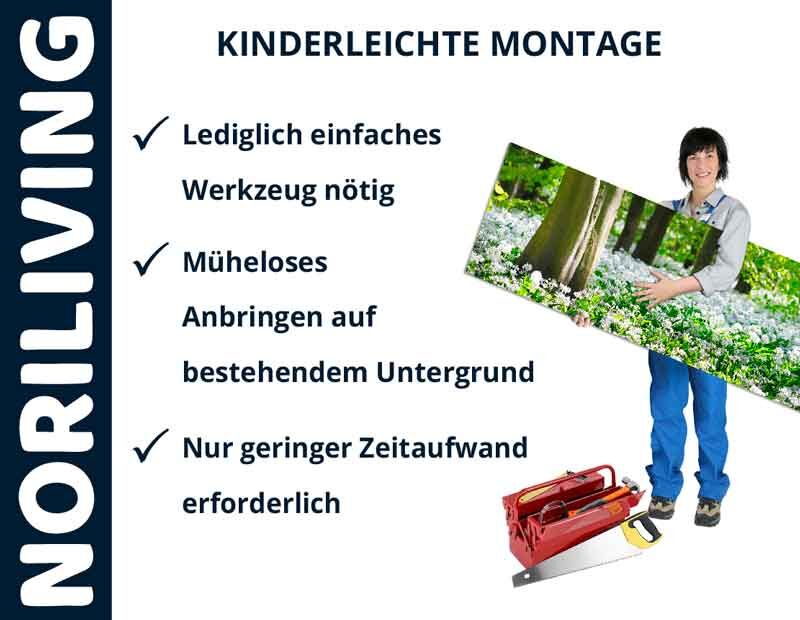 Frau hält Bild mit Blumenmotiv, daneben Text: Kinderleichte Montage, lediglich einfaches Werkzeug nötig, müheloses Anbringen, geringer Zeitaufwand. NORILIVING-Logo links, darunter Werkzeug.