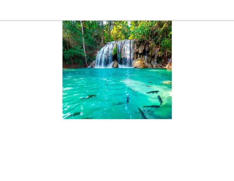 Ein idyllischer Wasserfall in einem klaren, türkisfarbenen Pool, umgeben von üppiger Vegetation und mit schwimmenden Fischen sichtbar.