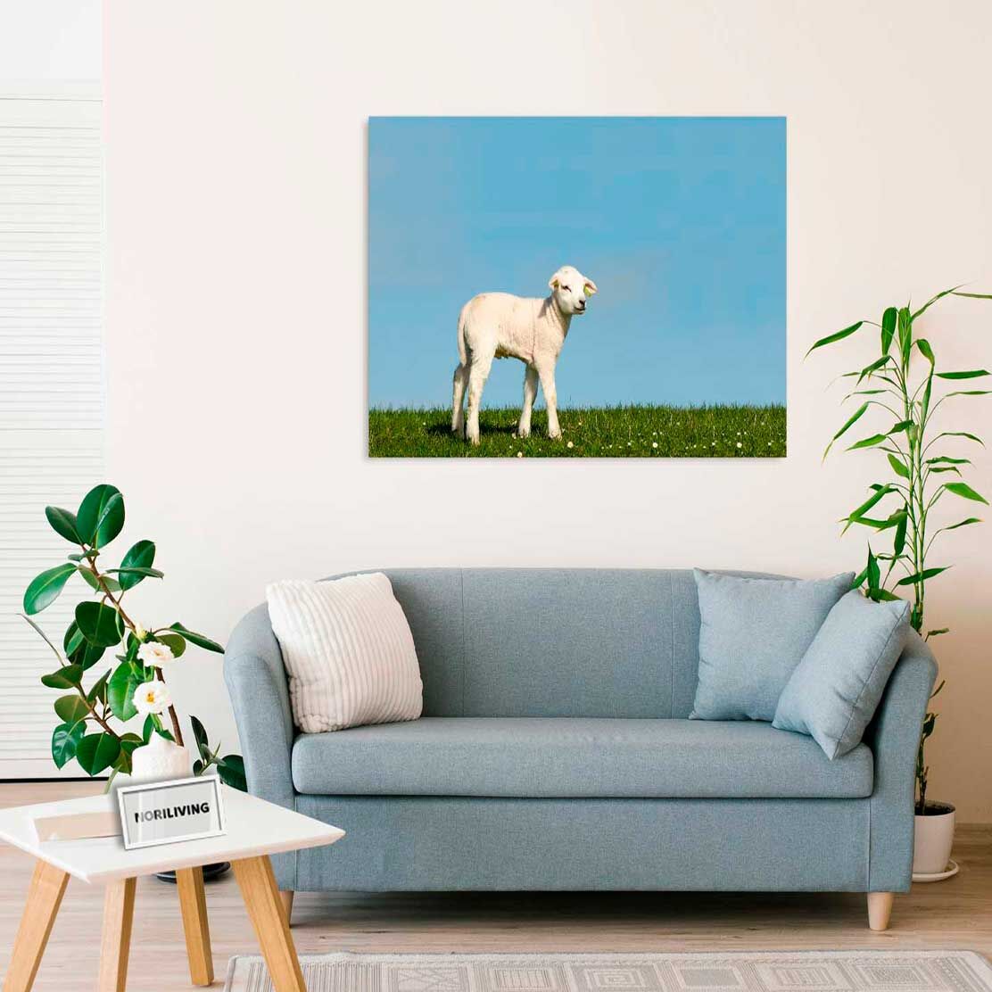 Wandbild über dem Sofa mit Motiv junges Lamm auf der Wiese 060