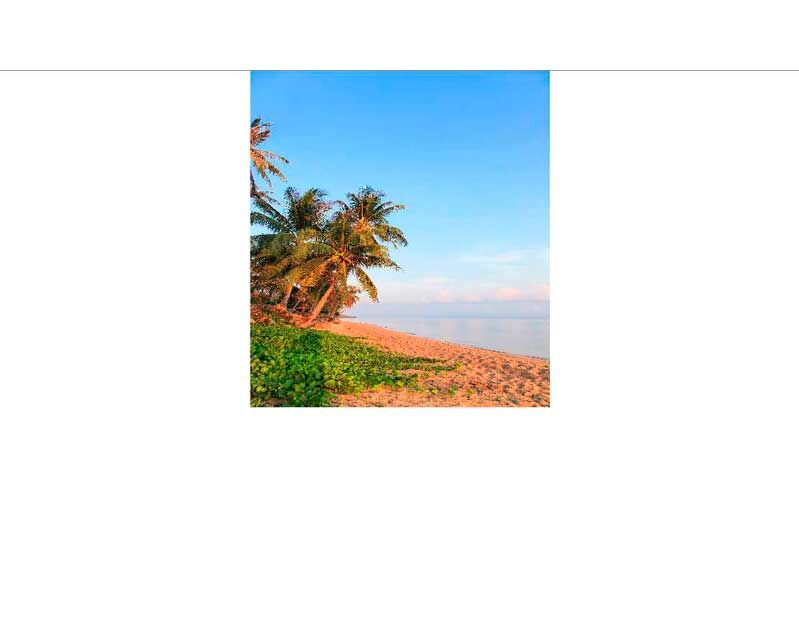 Ein entspannter tropischer Strand mit Palmen und blauem Himmel