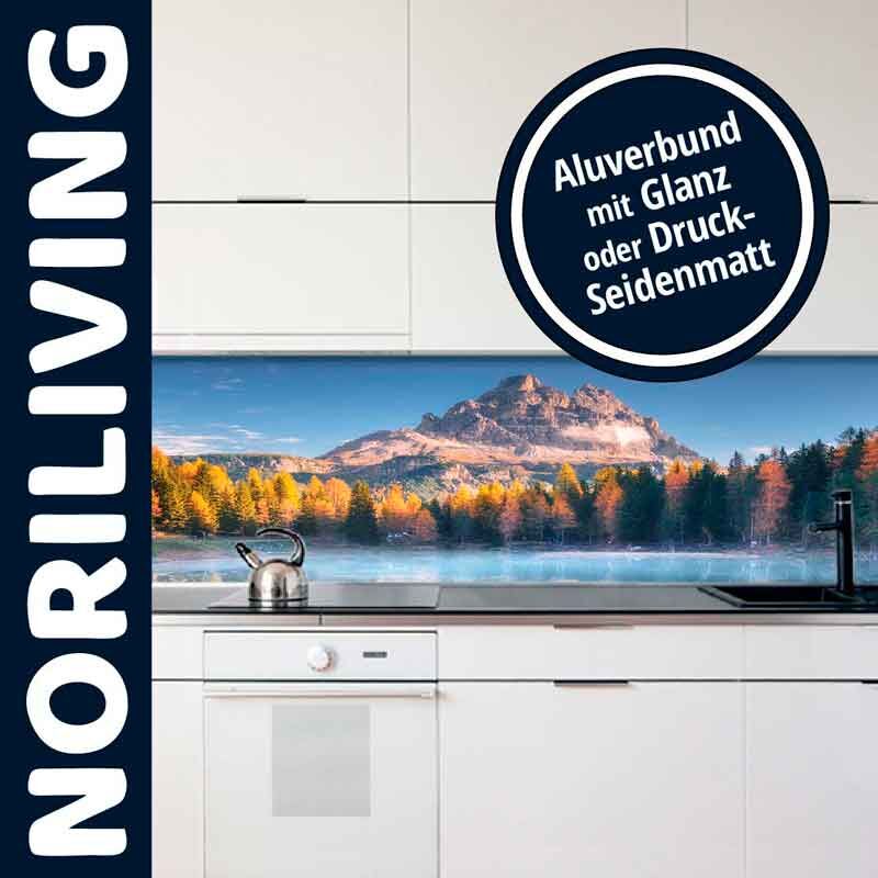 Moderne Küche mit Aluverbund-Rückwand und Gebirgsbild von Noriliving