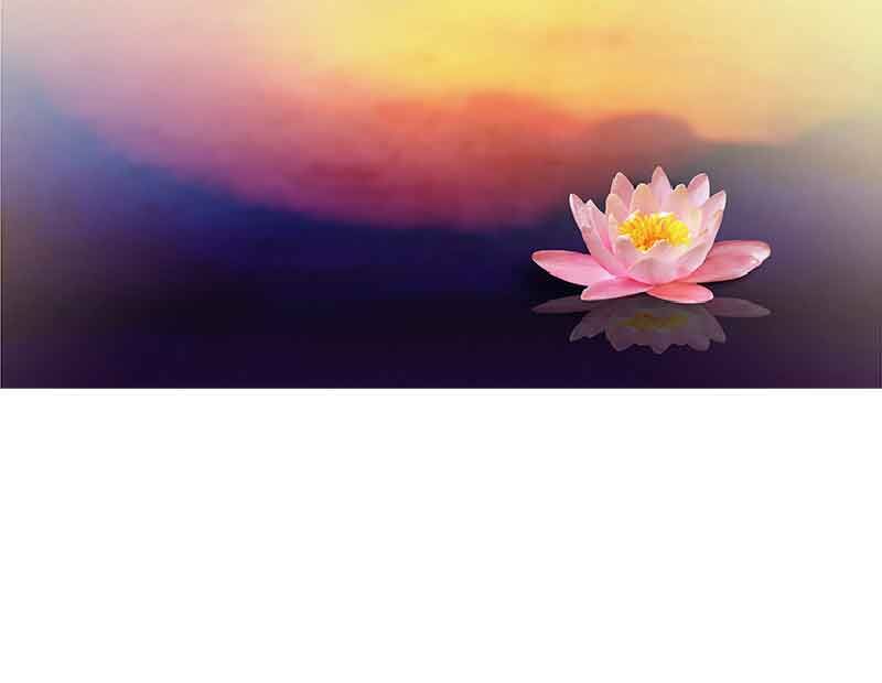 Eine einzelne rosa Seerose schwimmt auf stillem Wasser, umgeben von einem warmen, farbenfrohen Sonnenuntergangshimmel.