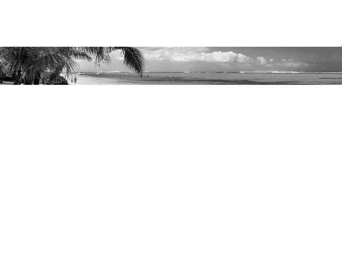 Schwarz-Weiß-Bild eines tropischen Strandes mit Palmen, Sand und Meer