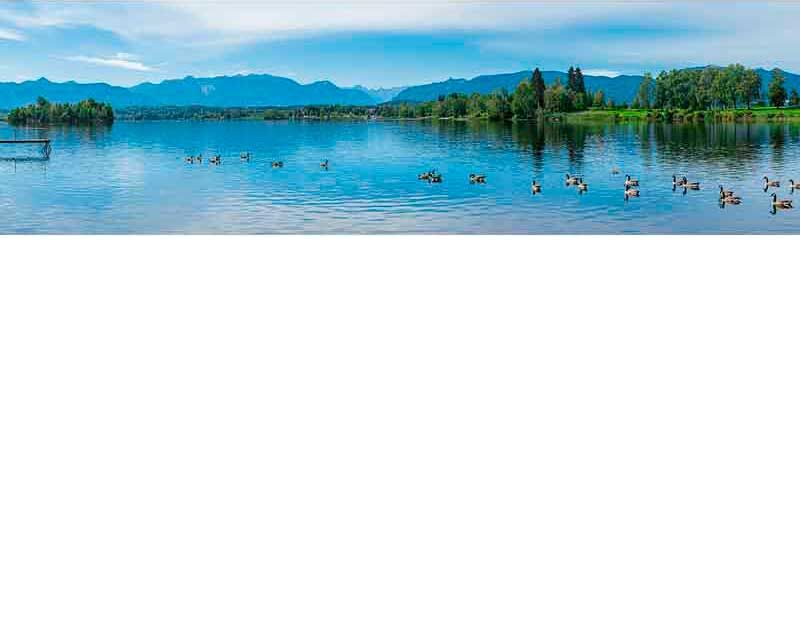 Ein malerischer See mit klar blauem Wasser und schwimmenden Gänsen, umrahmt von grünen Bäumen und Bergen im Hintergrund