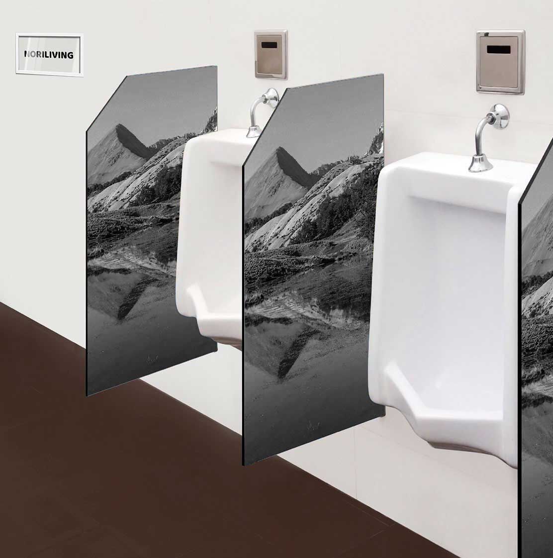 in der Toilette eingebaute Schamwand mit Motiv Berglandschaft mit Gebirgssee in Patagonien 365 schwarz-weiß