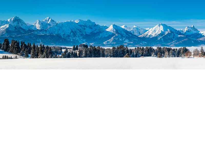 Schneebedeckte Alpen mit blauem Himmel und Wäldern im Vordergrund